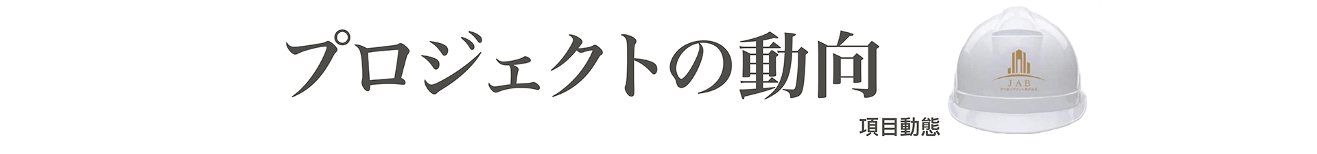 項目動態