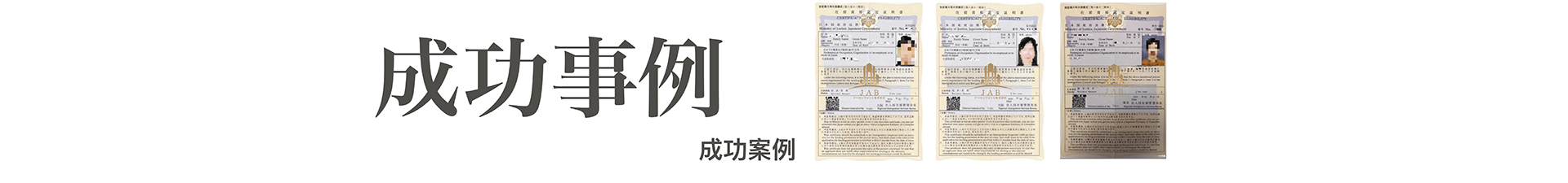 成功案例